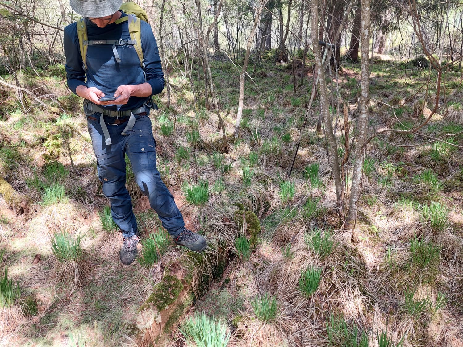 Erhebung der Moorvegetation mit mobilem GIS-Gerät im Moorwald