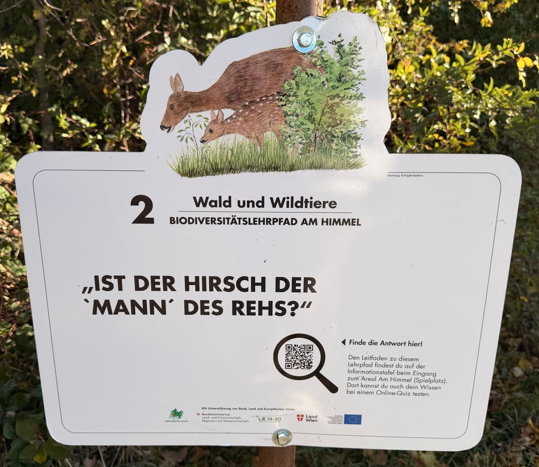 Schild Station 2: Ist der Hirsch der „Mann“ des Rehs?