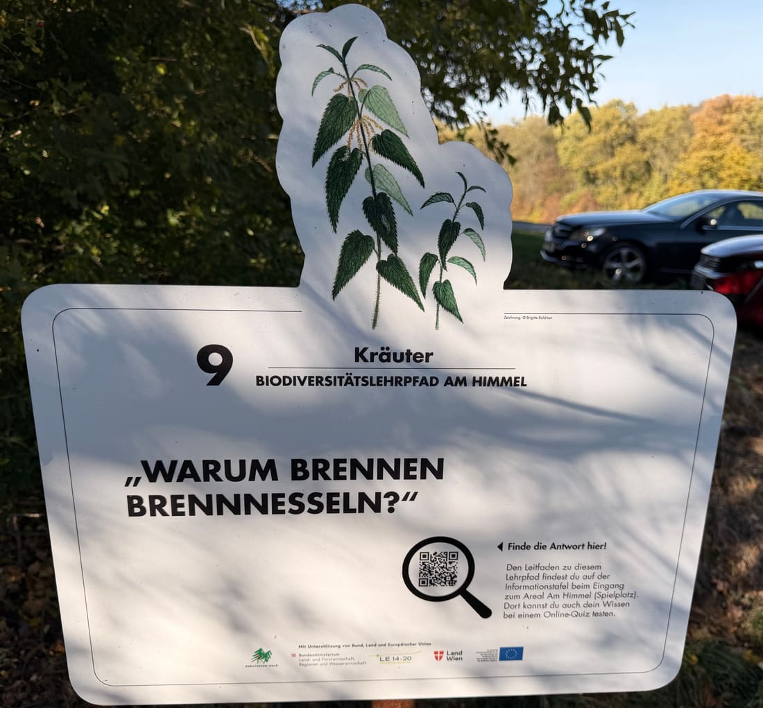 Schild Station 9: Warum brennen Brennnesseln?